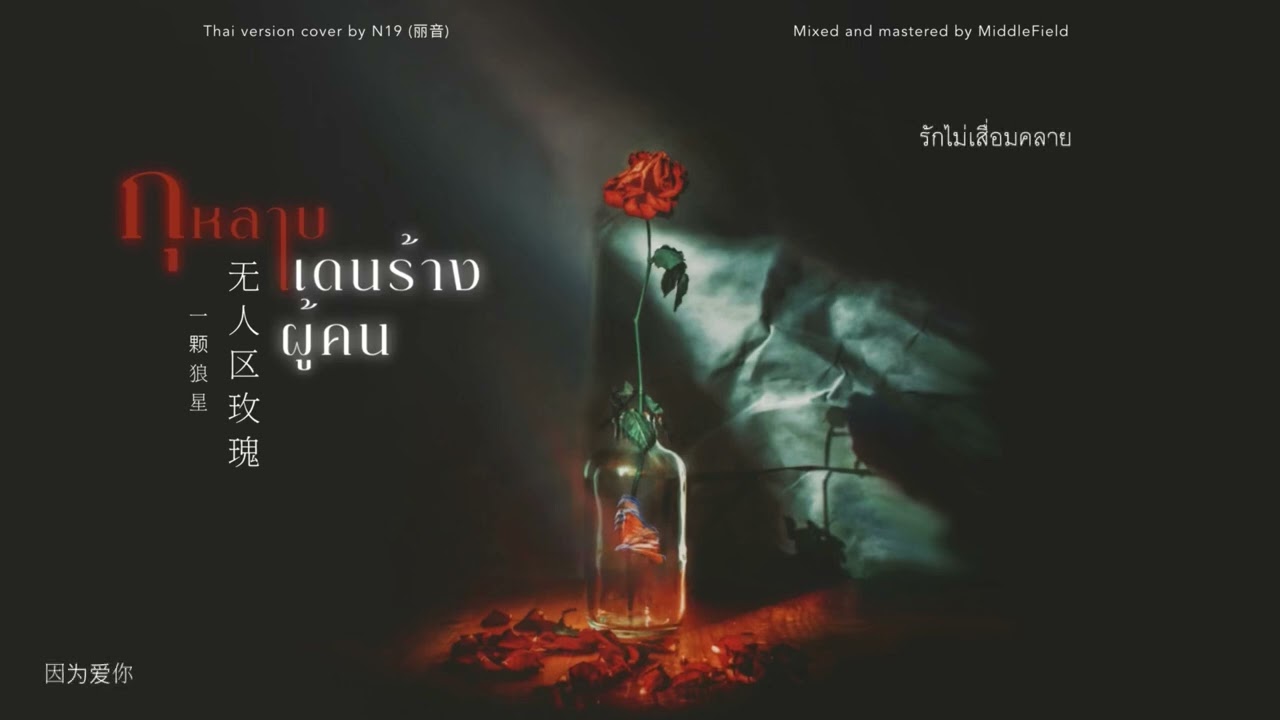 (Thai version) กุหลาบแดนร้างผู้คน 《无人区玫瑰》 - 一颗狼星 | N19 （丽音）