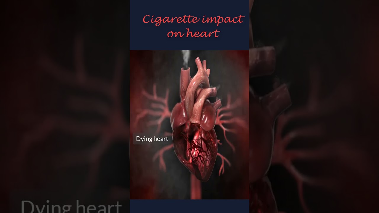 Cigarette Impact on Heart #shorts