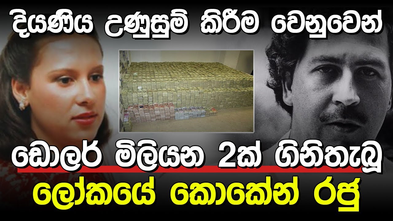 ඩොලර් මිලියන දෙකක් පුච්චපු තාත්තා | Pablo Escobar |