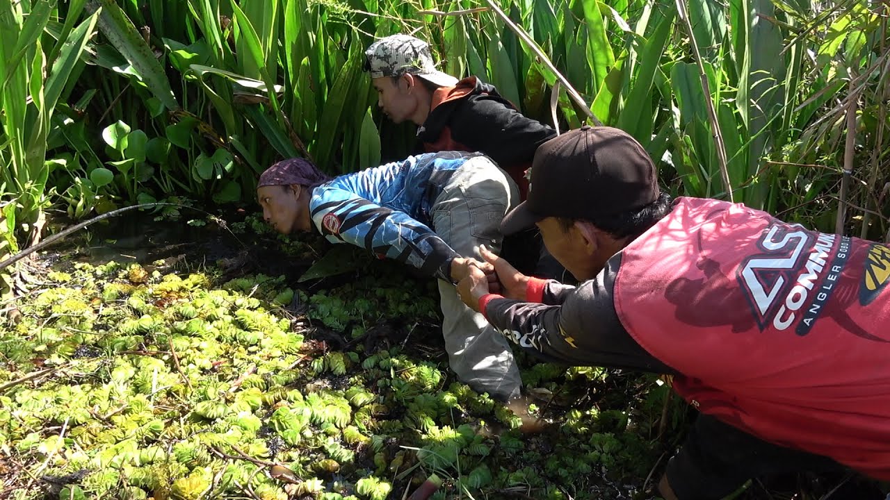 Ambyar!!! mancing di spot rawa bakung penonton auto meronta2!!! #SG-158