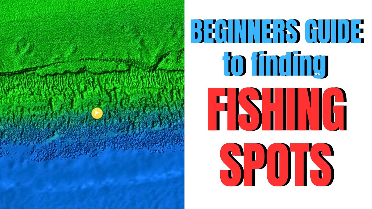 Beginners guide to FINDING FISHING SPOTS