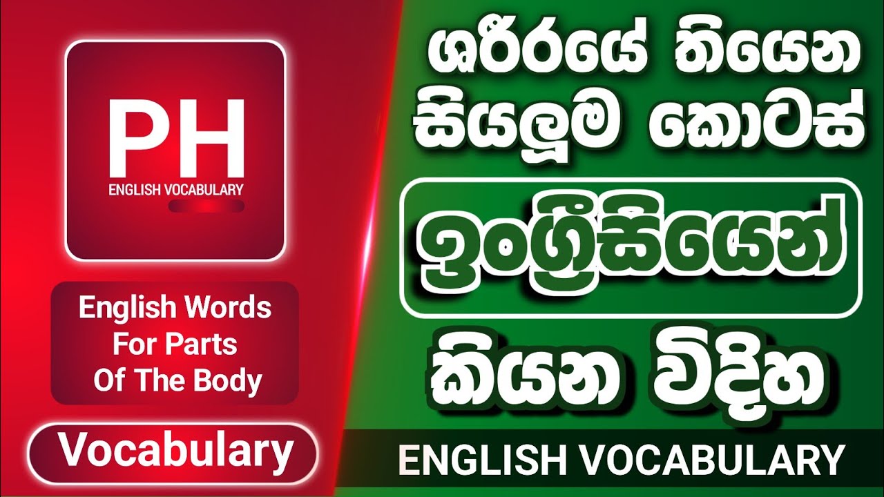 Parts Of The Body In English With Sinhala Meaning | English Vocabulary In Sinhala 😍🇱🇰