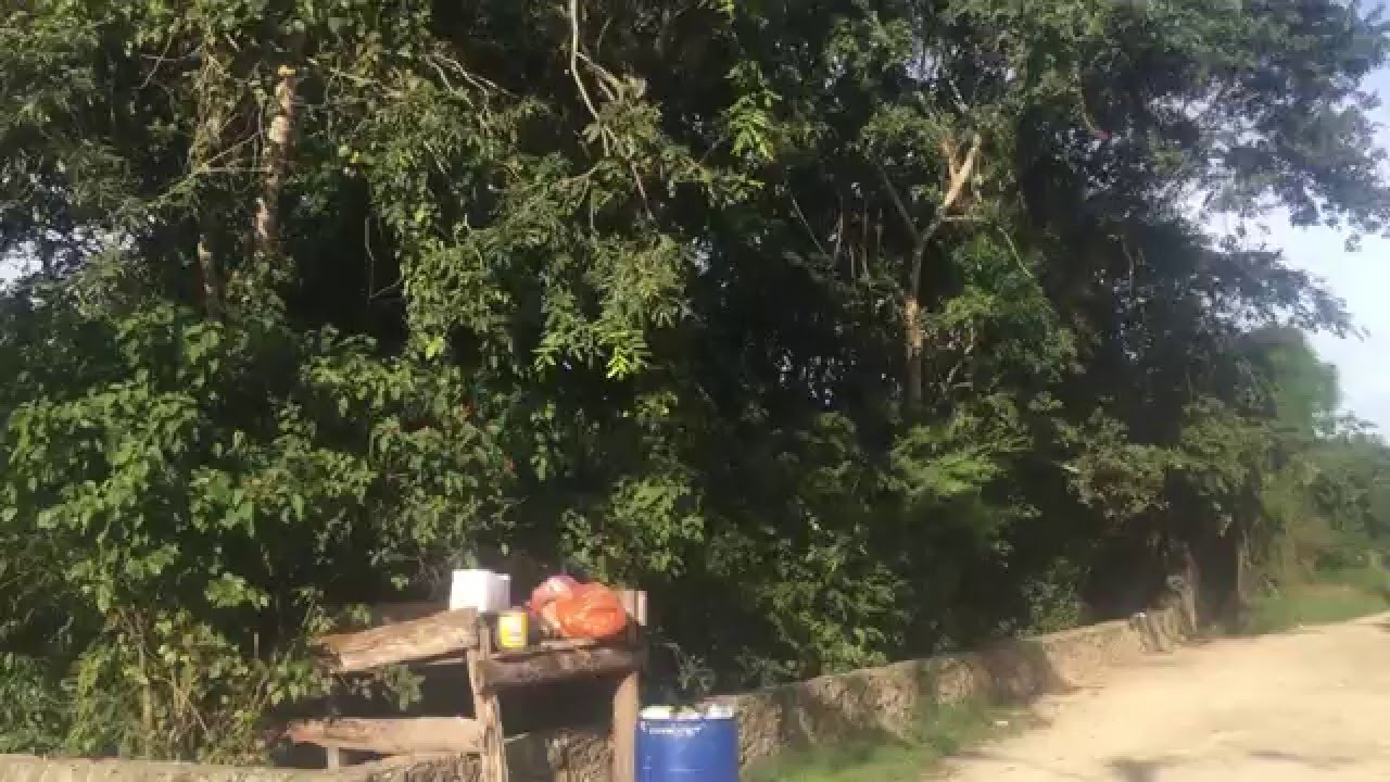 TERRENO PARA HOSTAL EN MACARIO GOMEZ-TULUM