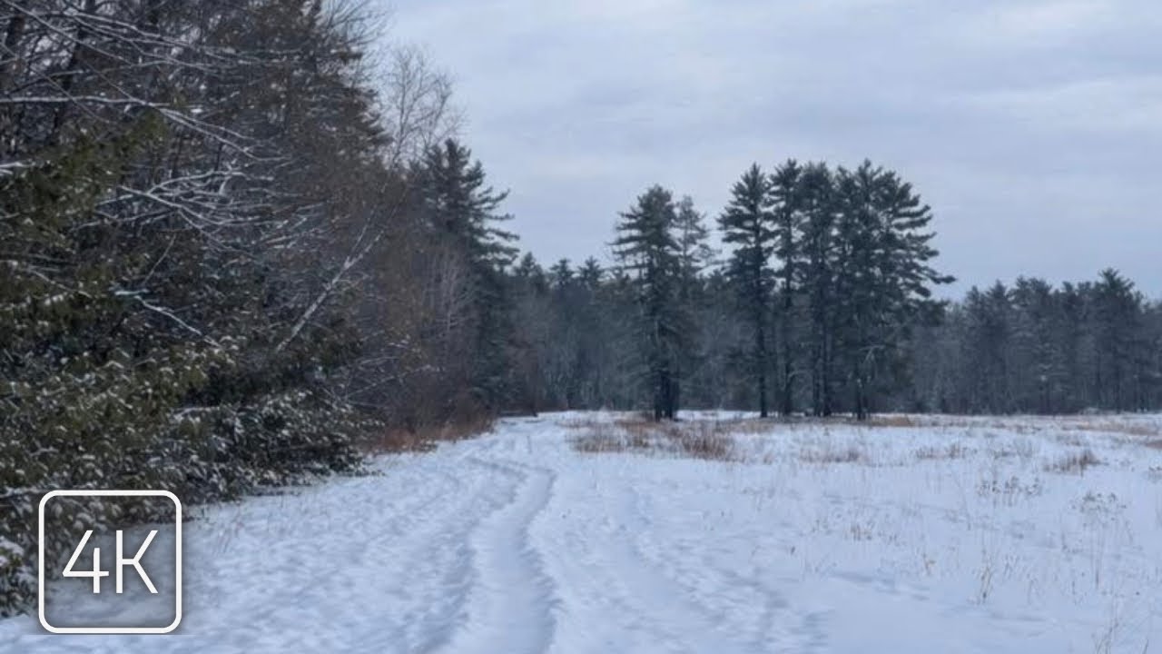 This Maine Preserve Looks Unreal After Snow