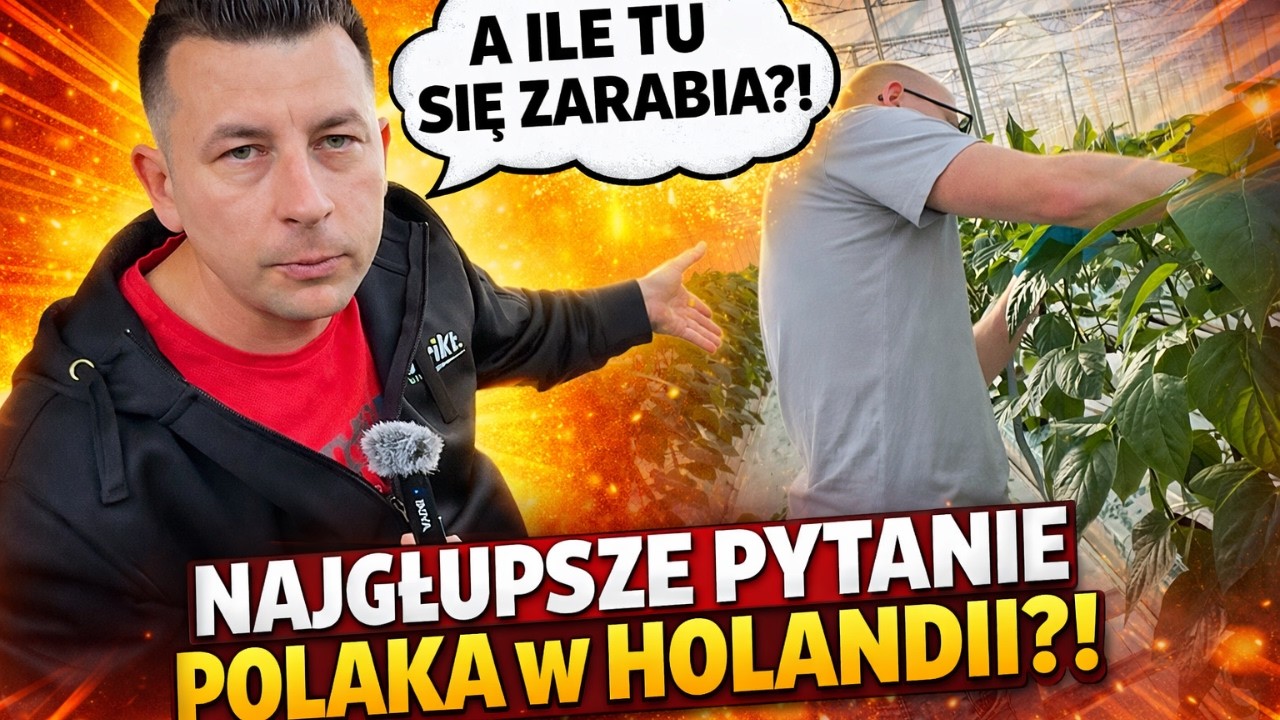 POLACY W HOLANDII WCIĄŻ O TO PYTAJĄ…