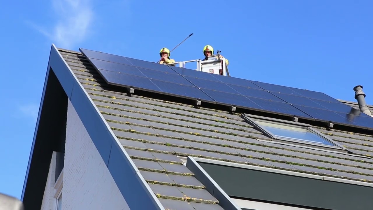 Duif maakt slippertje op hoogte