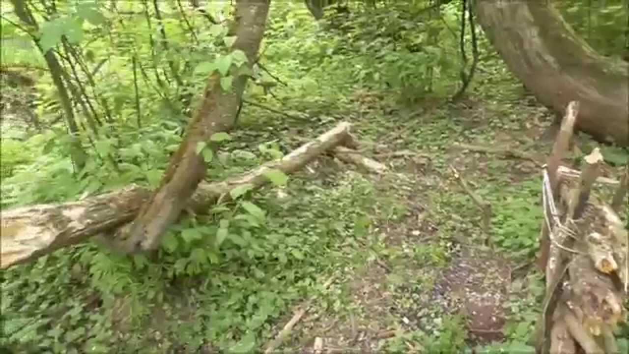 Život v divočině D&iacute;l 1. : Ohni&scaron;tě z&aacute;klad t&aacute;bora