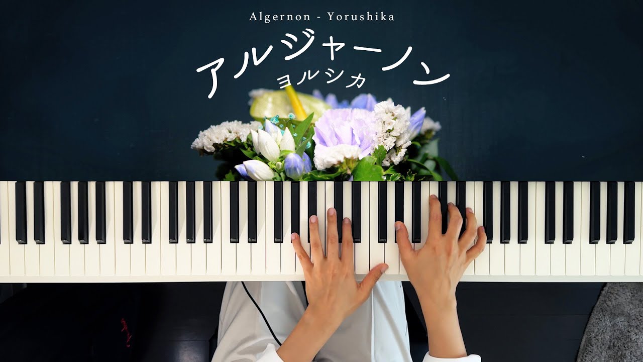 アルジャーノン - ヨルシカ (Piano Cover)