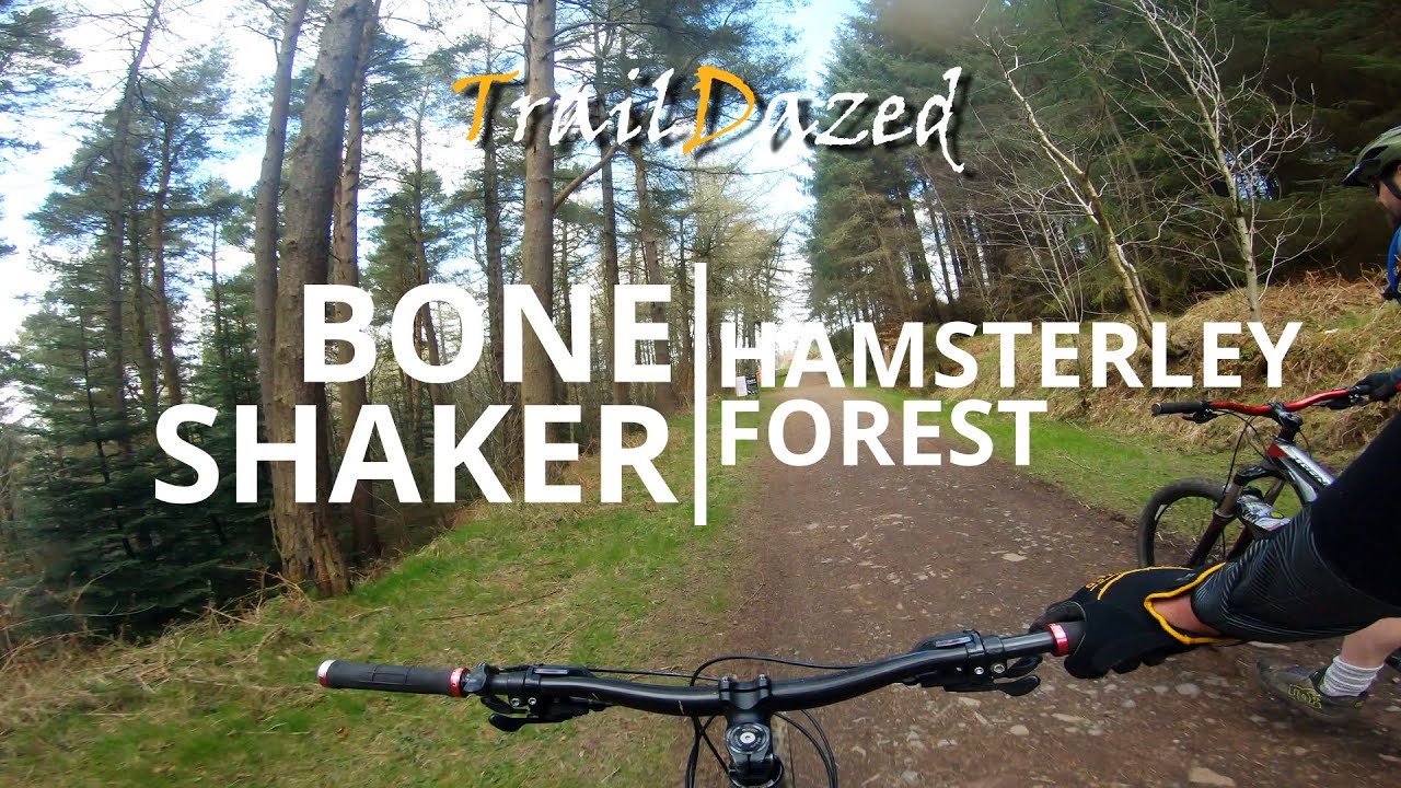 Bone Shaker! Crazy fast section at Hamsterley Forest MTB trails.