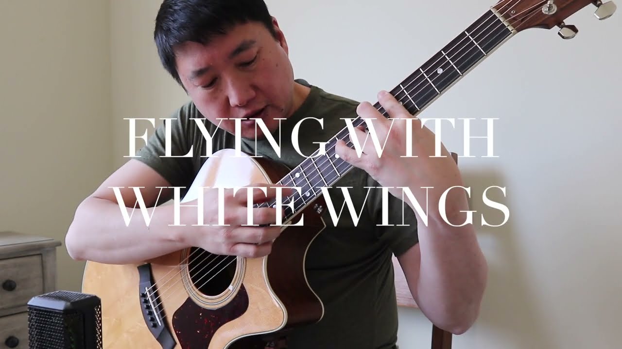 Flying with White Wings - Daniel Padim - Cover by Alan Tai
