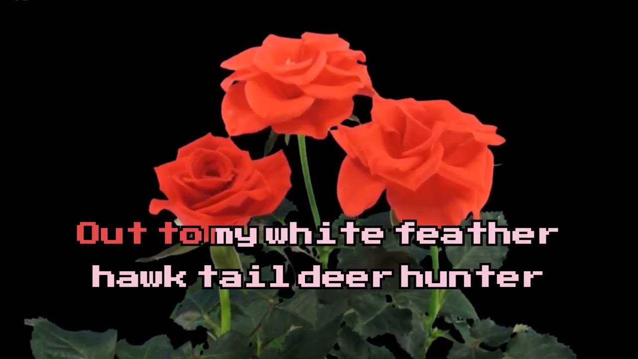 White Feather Hawk Tail Deer Hunter Lana Del Rey Karaoke Video