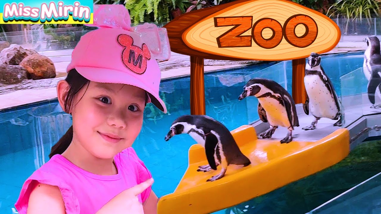 Learn Sea and Wild Animals in the Zoo with Mirin and Rainbow