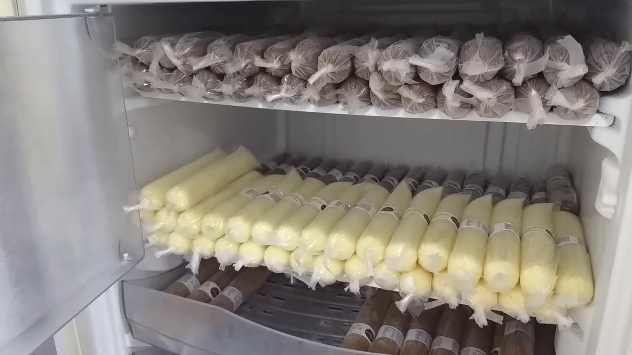 Freezer para congelar os Dindins, Geladinhos, Sacolé, ChuChup, Chopinho