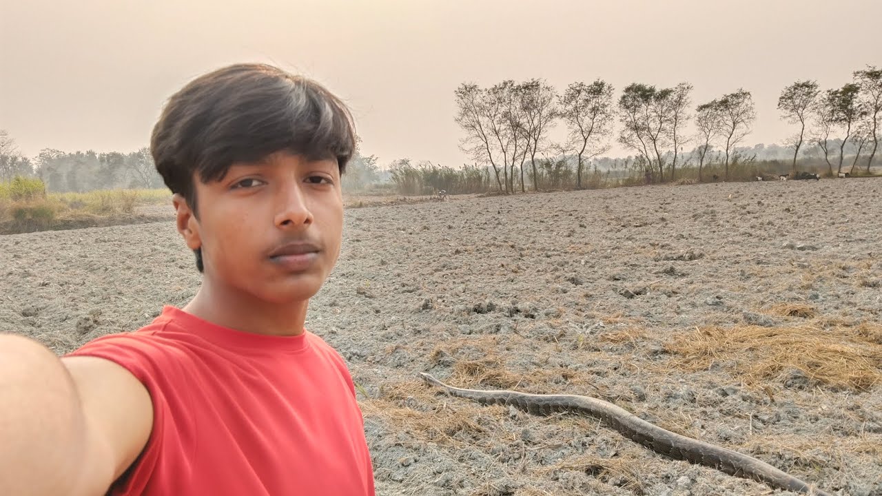 Khet me samp mil gaya 😟