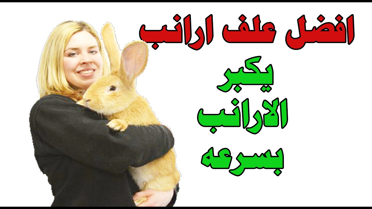 افضل علف ارانب يكبر الارانب بسرعه