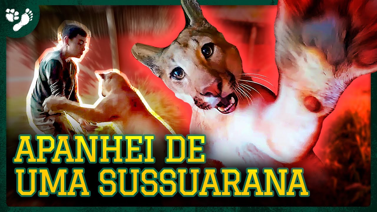 UM PUMA TENTOU ME ATACAR! | TIAGO JÁCOMO