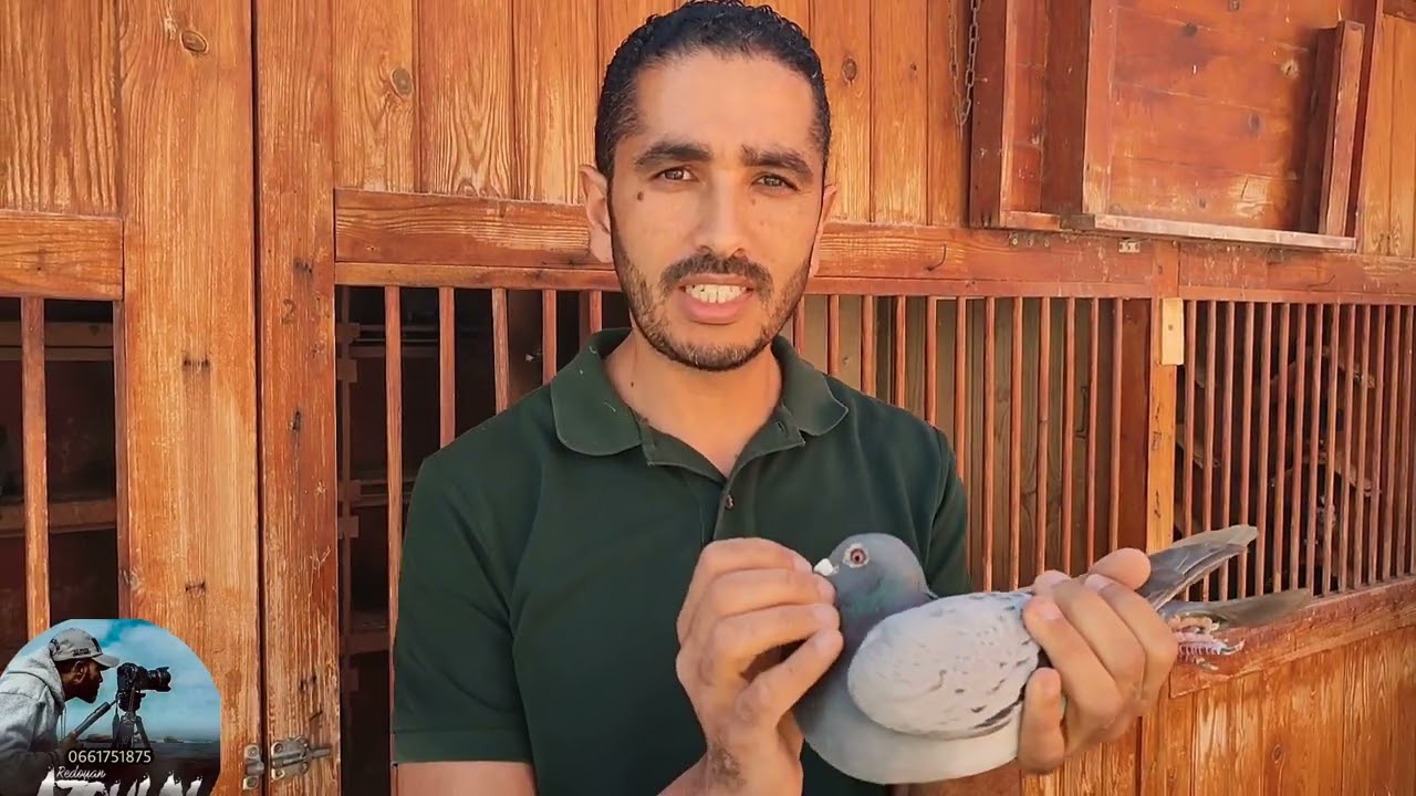 زيارةعند البطل الكبير إخوان الزين فرجة ممتعة