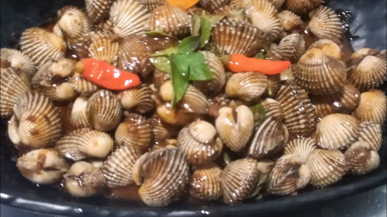 Kerang dara‼️masak kerang dara bumbu barbeque bumbu simpel GK ribet