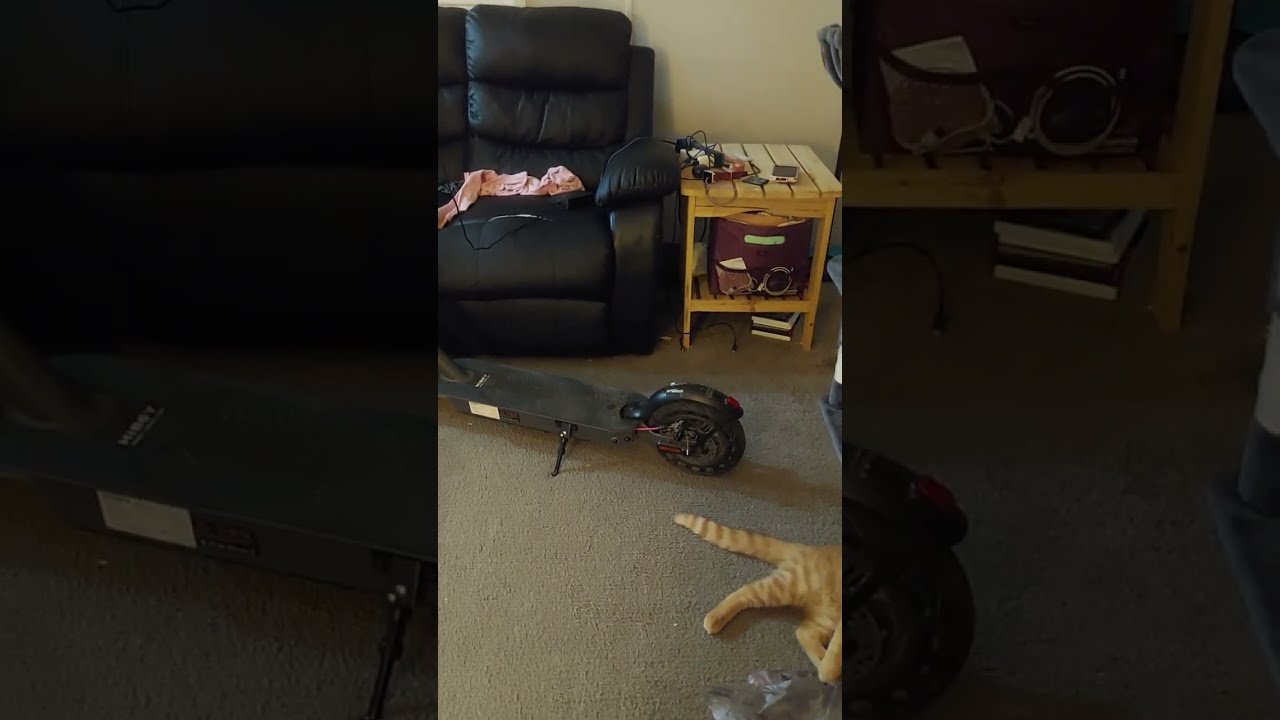 Caught wife cheating with her manager at Amazon. 15 years flush