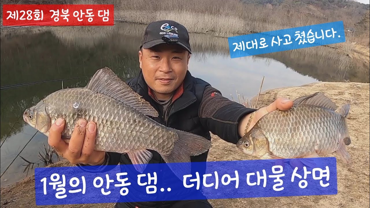 #붕어낚시 .  경북 안동댐에서 #대물붕어 를 만났습니다.#koreancarpfishing
