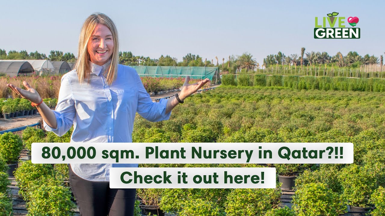 Check out one of the largest plant nurseries in Qatar!  | Live Green | Ep 4