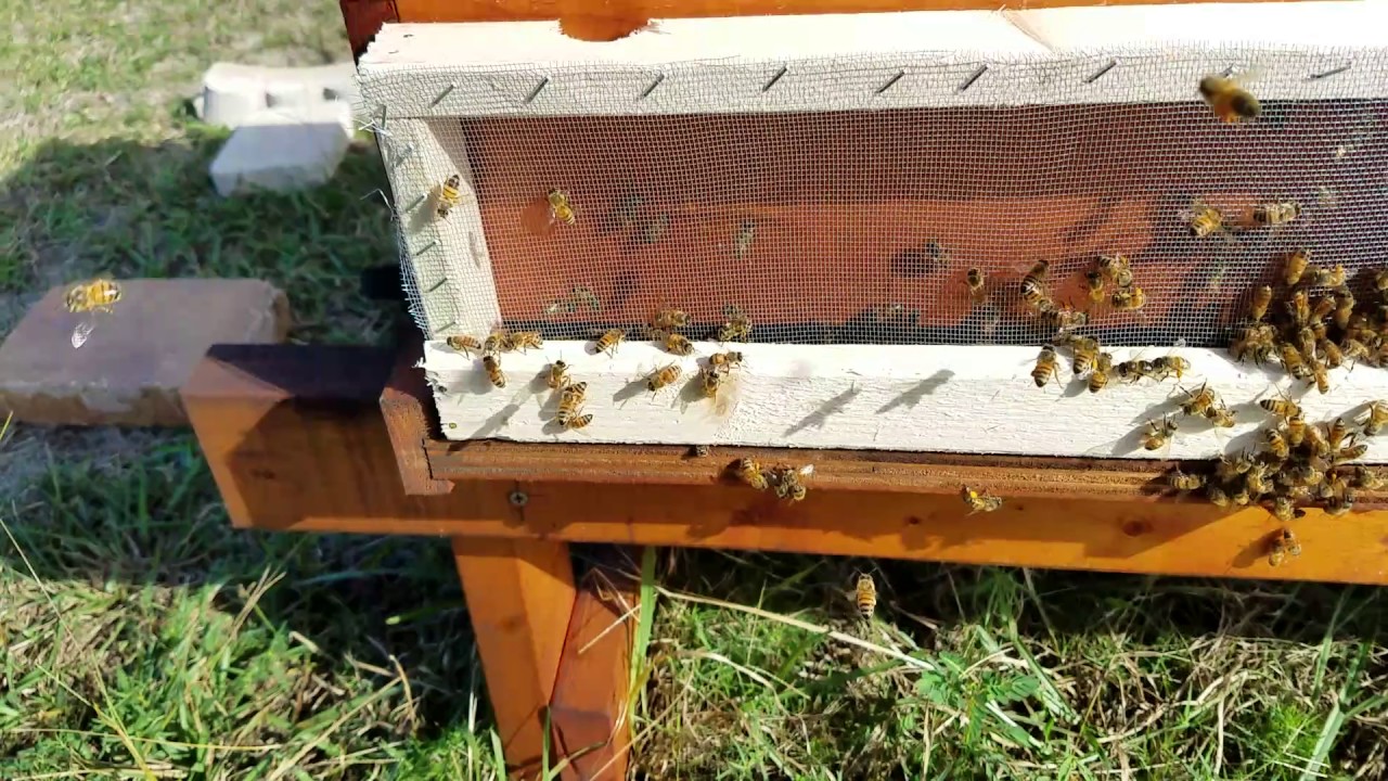 DIY robber screens