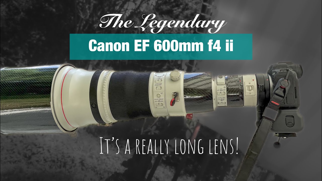 The Legendary White Lens! Canon EF 600mm f4 ii