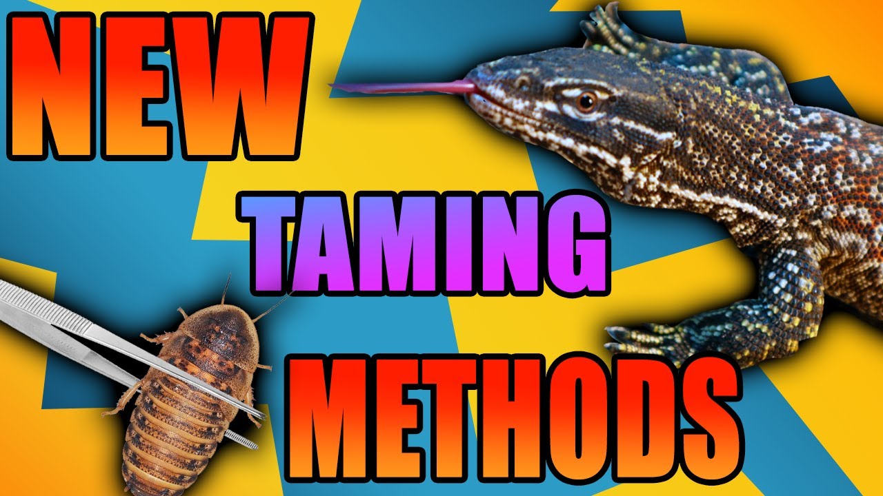 Taming Tiny Dragons | Controversial Monitor Lizard Taming Trick