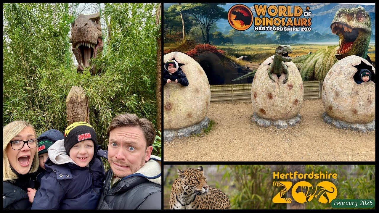 HERTFORDSHIRE ZOO and WORLD OF DINOSAURS | We brave the cold & the rain for February Half Term 2025!
