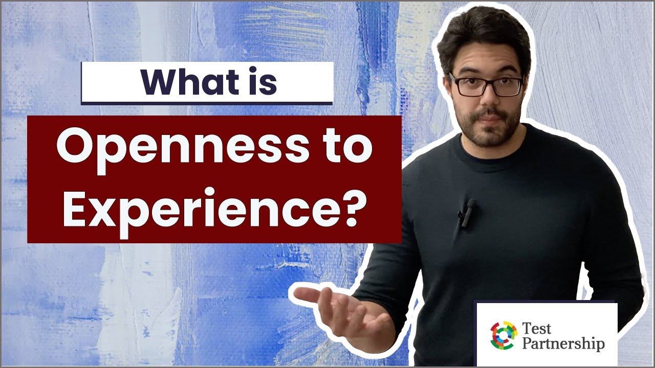 What is Openness to Experience?