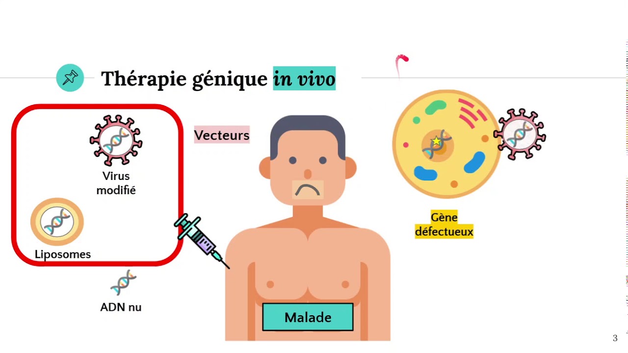 La thérapie génique 💉