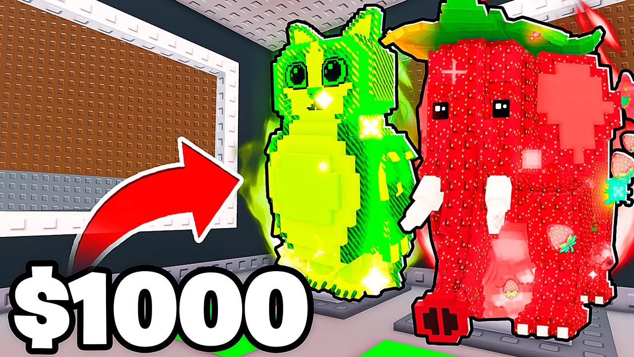 GASTEI R$1000 EM CONTAS SECRETAS DO ROUBE UM BRAINROT E... ISSO ACONTECEU!