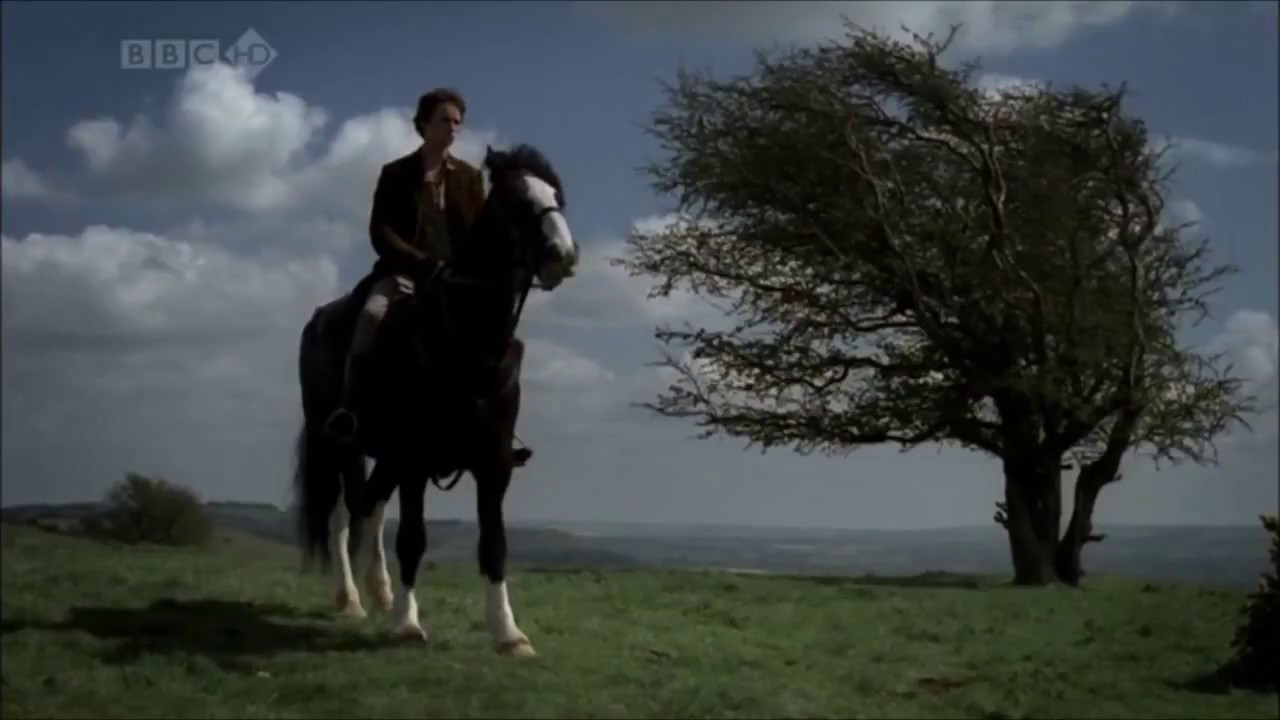 Eddie Redmayne Tribute
