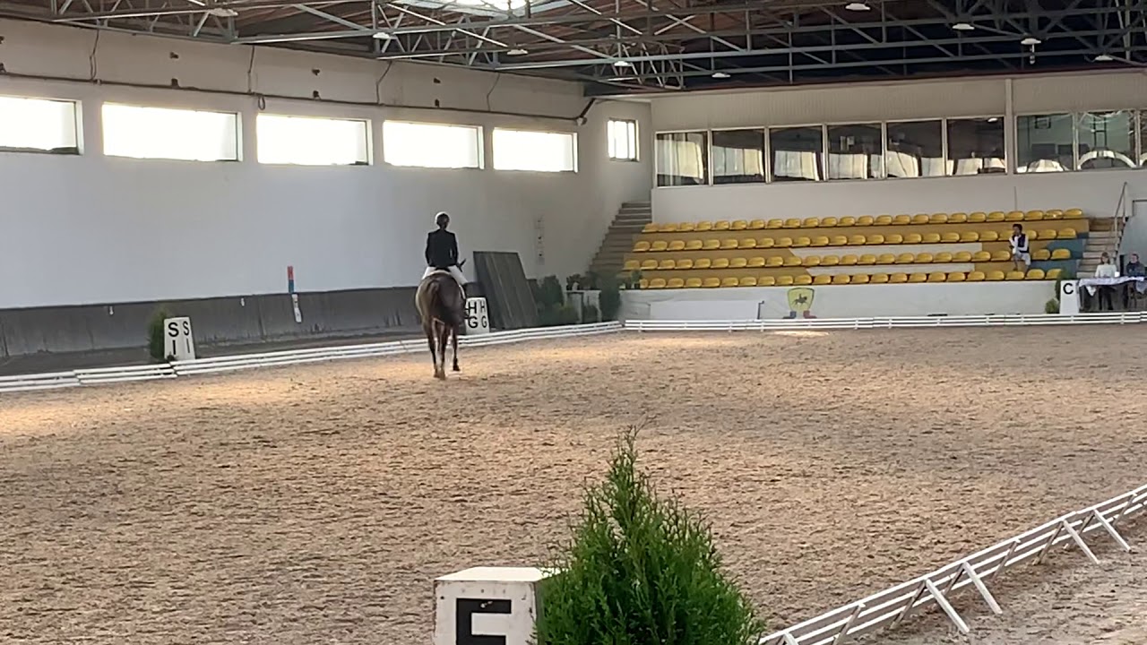 Agnieszka Przybylska || Django || P2 || Aromer 17.11.2019