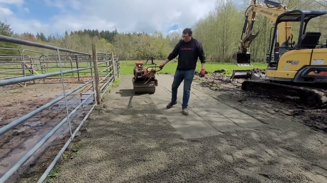 Adding a Third Stall to the Shedrow - and Milo comes Home!