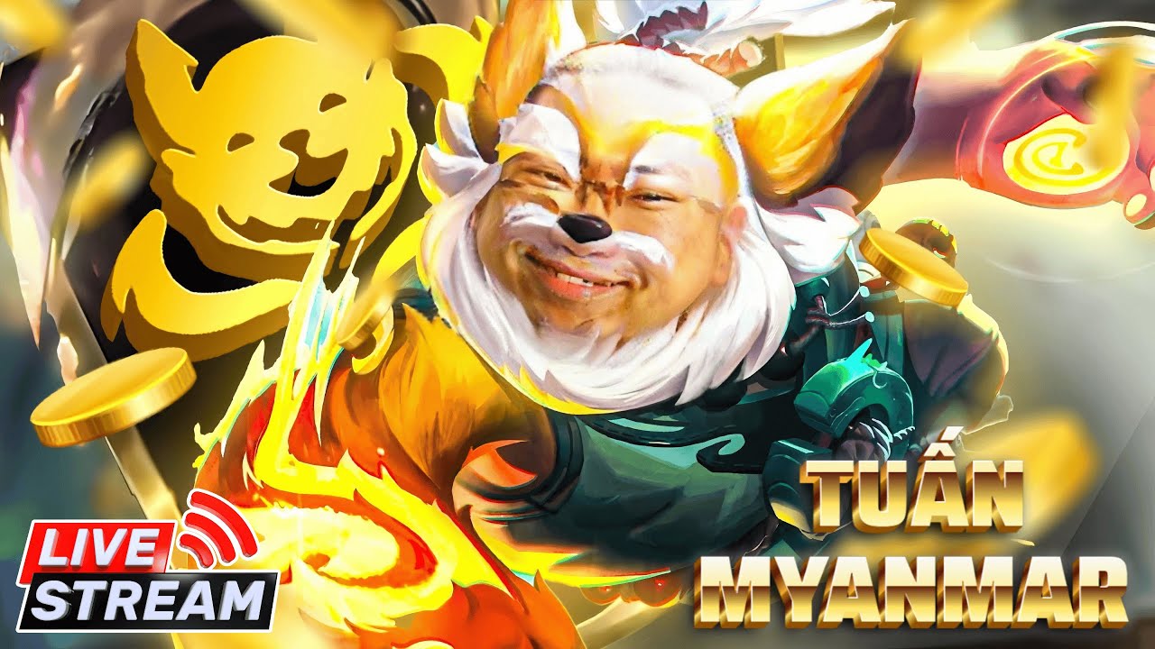 Live tới sập