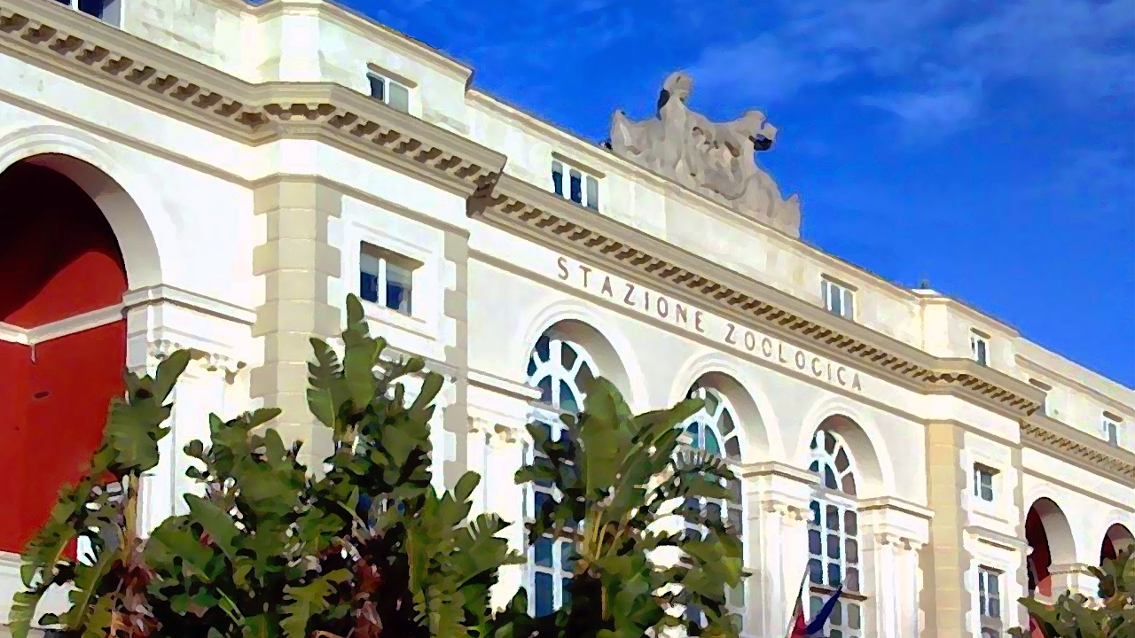 Live stream di Stazione Zoologica Anton Dohrn di Napoli