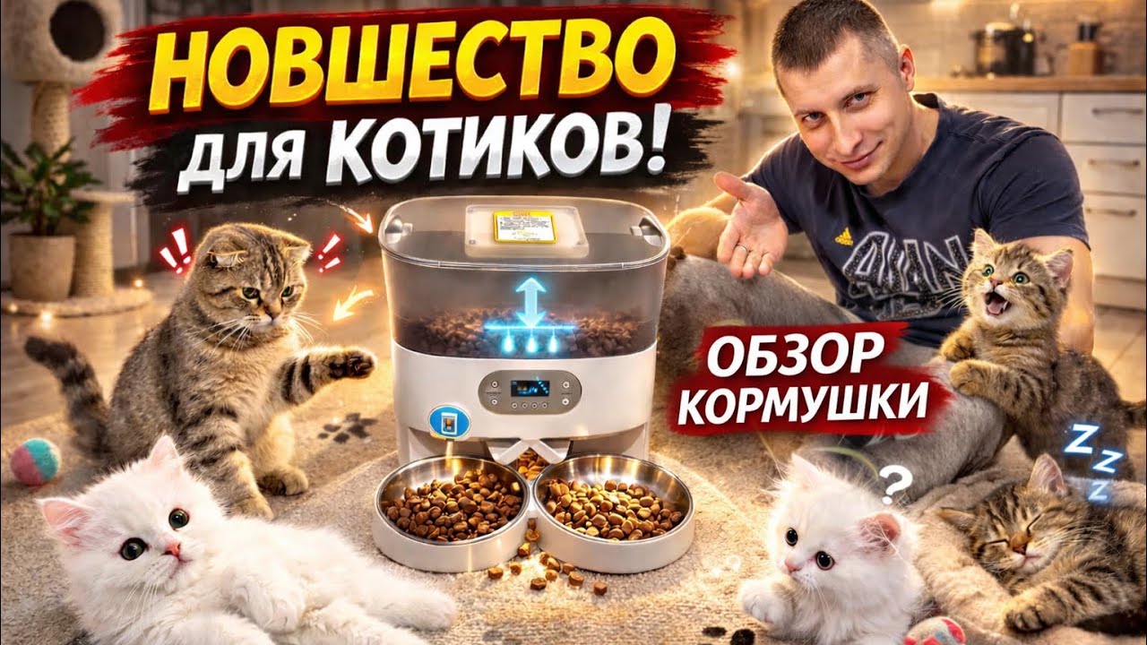 Интересная доставка! Новшества для котиков)