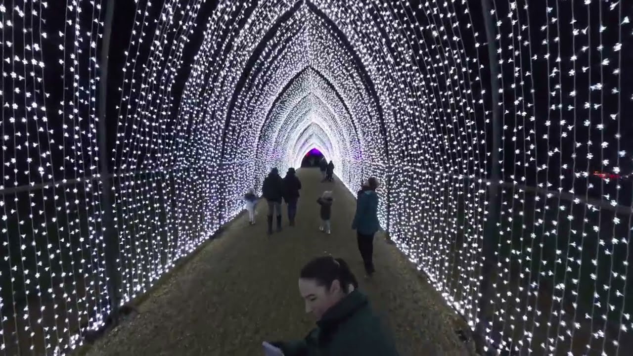 Wimpole Christmas Lights 2025