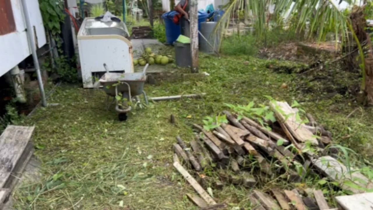 Cut grass cutting affordable part 6