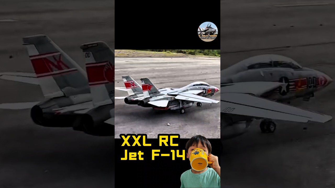 Do you wanna buy this xxl size rc jet f14? #f14tomcat #rcmodel #scalemodel #hobby #rcplane #rcjet