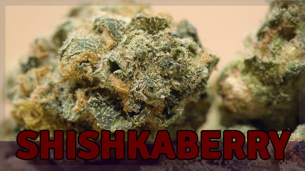 SHISHKABERRY - Indica - THC 17%