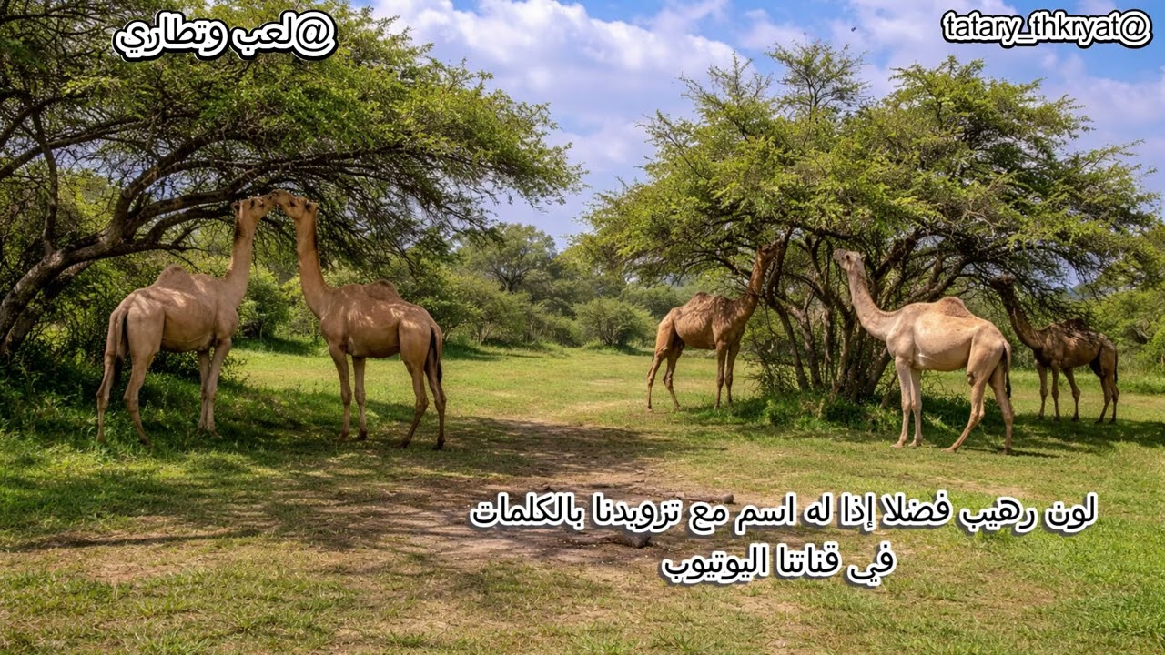 لـون رهيب ( ماذا يسمى )؟ من فهم الكلمات او بعضها يكتبها لنا في التعليقات