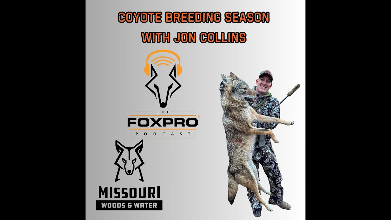 Coyote Breeding Season With Jon Collins - Ep 305