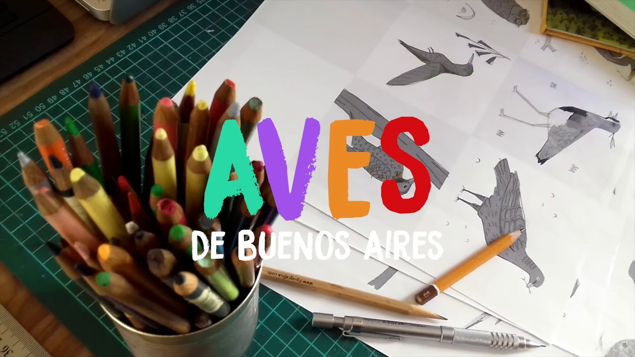 Aves de Buenos Aires - Campa&ntilde;a Idea.me (English Subtitles)