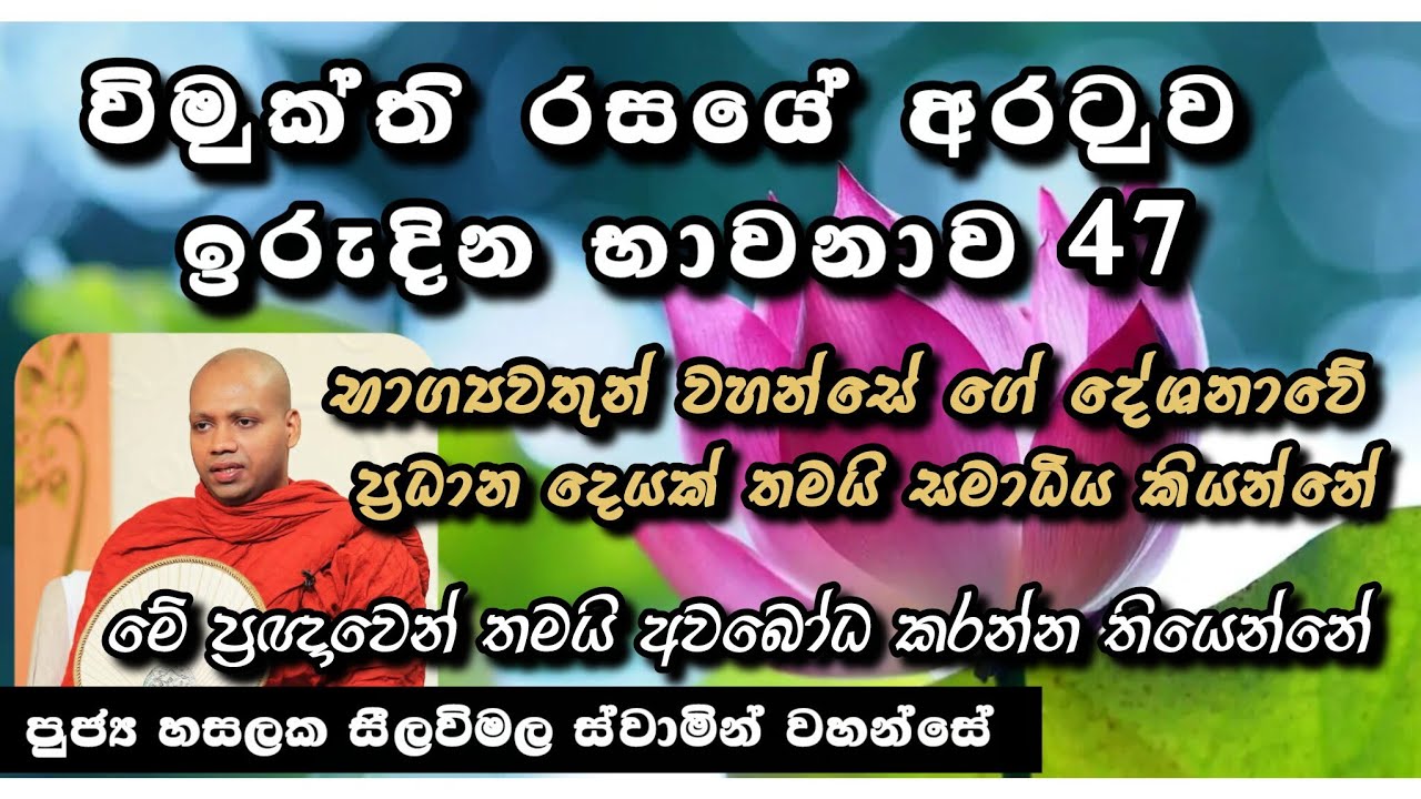 මේ ප්‍රඥාවෙන් තමයි අවබෝධ කරන්න තියෙන්නේ |සමාධි සම්භාෂණා- 20|#revhasalakaseelawimalathero |2026.03.15