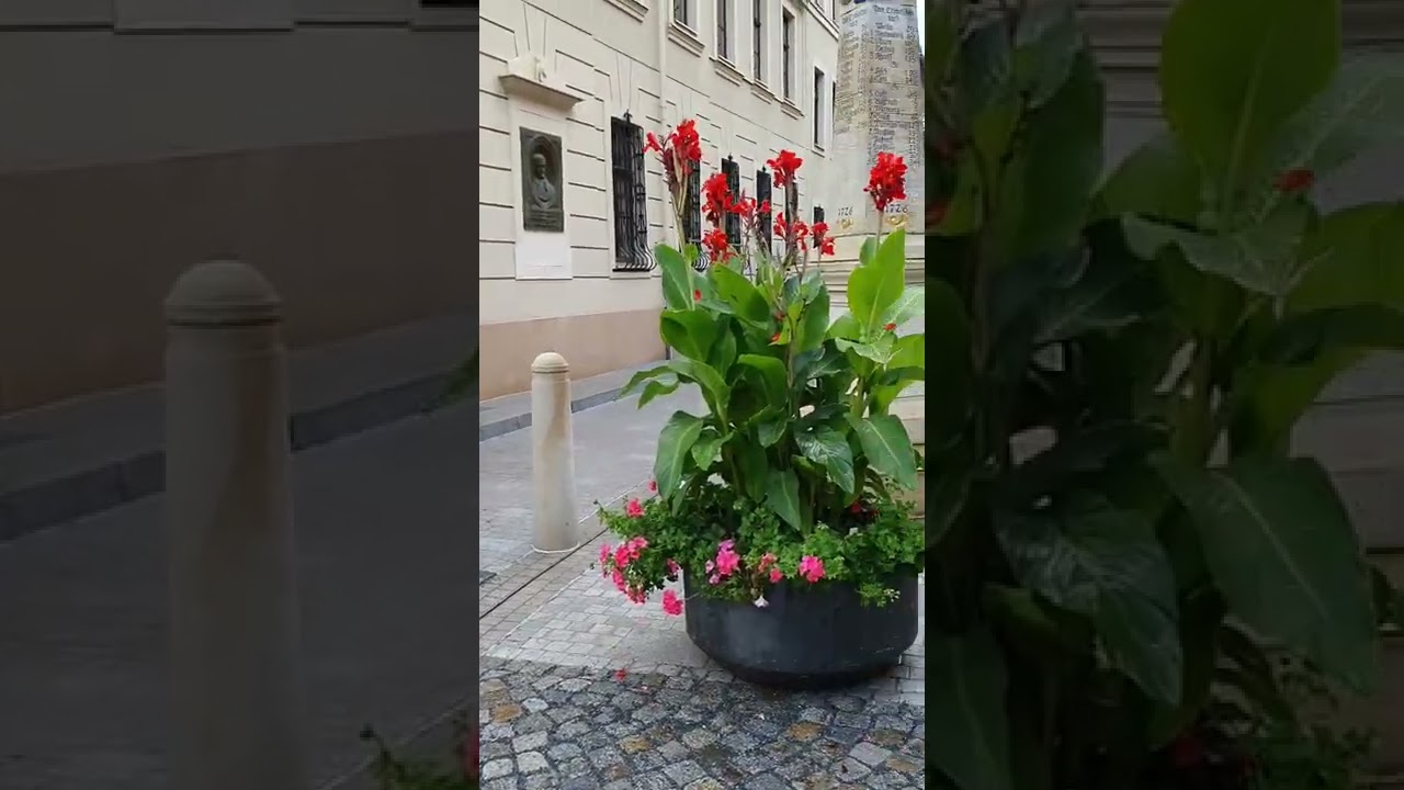 Crimmitschau, Sachsen, Germany