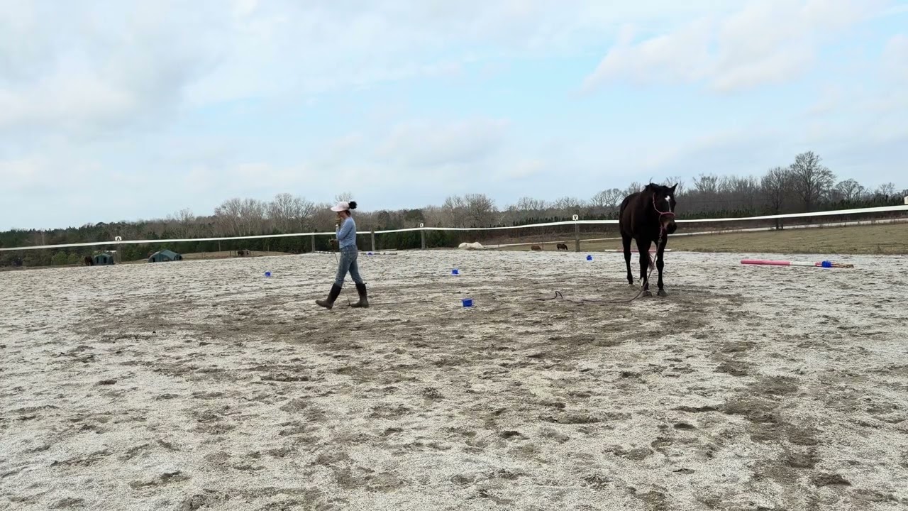 Cane 2/19/26 Groundwork