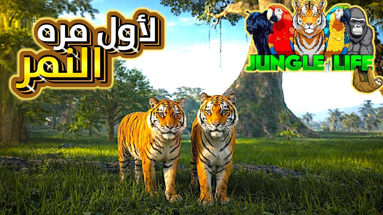 هل النمر قوي؟ تجربة حقيقية في Jungle Life | Roblox ⚔️🐅