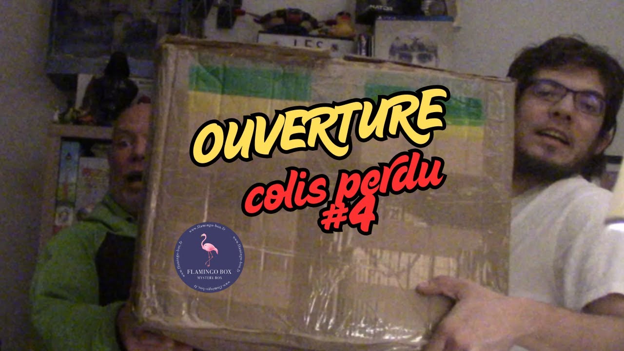 ouverture colis perdu flamingo box #4